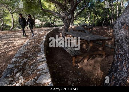 Erholungsgebiet Na Miranda, Naturpark Sa-Baia, Mallorca, Balearen, Spanien Stockfoto