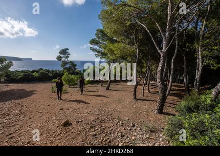 Erholungsgebiet Na Miranda, Naturpark Sa-Baia, Mallorca, Balearen, Spanien Stockfoto