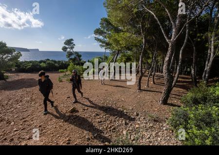 Erholungsgebiet Na Miranda, Naturpark Sa-Baia, Mallorca, Balearen, Spanien Stockfoto