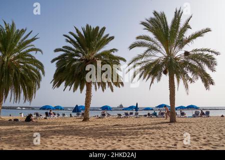 Palmen und Urlauber am Strand Playa de Las Teresitas, Nord-Teneriffa, Teneriffa, Kanarische Inseln, Spanien Stockfoto