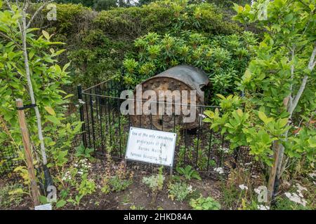 Überreste einer springenden Bombe auf dem Gelände des Petwood Hotel, dem Heimstadion der legendären 617 „Dambusters“ Squadron im Jahr WW2, Woodhall Spa, Lincolnshire, Großbritannien. Stockfoto