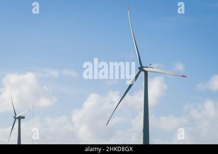 Windmühlen während des hellen Sommertages mit blauem Himmel, sauberem und erneuerbarem Energiekonzept. Stockfoto