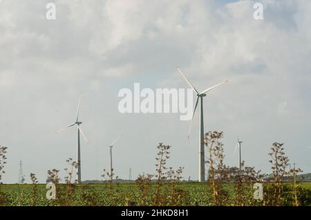 Windmühlen während des hellen Sommertages mit blauem Himmel, sauberem und erneuerbarem Energiekonzept. Stockfoto