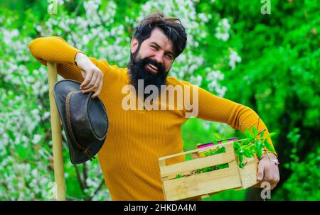 Professioneller Gärtner arbeitet im Garten. Bärtiger Mann mit Schaufel und Schachtel. Federarbeiten. Bauer pflanzt Pflanzen an. Stockfoto