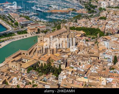 Luftaufnahmen, Kirche Santa Iglesia Catedral de Mallorca, Kathedrale von Palma, Parc de la Mar, Palma, Mallorca, Balearen, Spanien, Devotional S Stockfoto