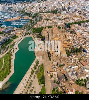 Luftaufnahmen, Kirche Santa Iglesia Catedral de Mallorca, Kathedrale von Palma, Parc de la Mar, Palma, Mallorca, Balearen, Spanien, Devotional S Stockfoto