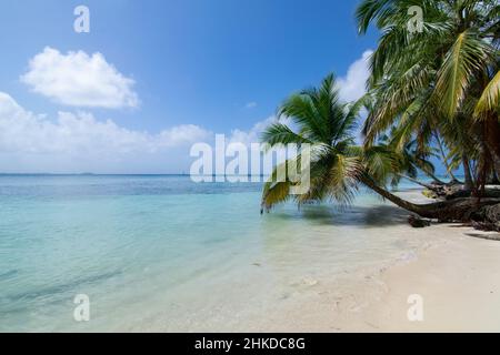 Unberührter Palmenstrand auf der Insel Chichime (San Blas) Stockfoto