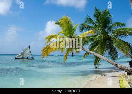 Unberührter Palmenstrand mit traditionellem Segelboot auf der Insel Chichime (San Blas) Stockfoto