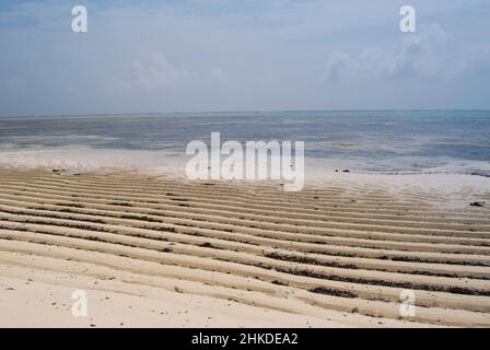 Die Ebbe des Indischen Ozeans an den Ufern von Sansibar. Stockfoto