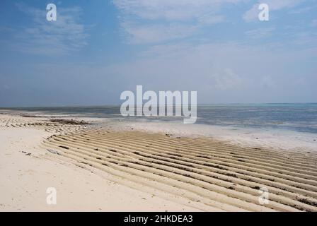 Die Ebbe des Indischen Ozeans an den Ufern von Sansibar. Stockfoto