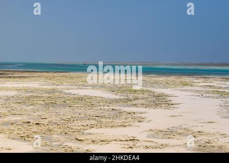 Die Ebbe des Indischen Ozeans an den Ufern von Sansibar. Stockfoto