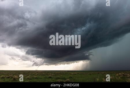 Tornado- und supercell-Gewitterwolken über einem Feld in der Ebene bei Akron, Colorado, USA Stockfoto