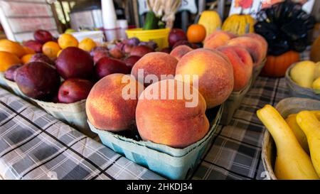 Frisches Obst und Gemüse auf einem Bauernstand. Nahaufnahme von reifen Pfirsichen. Stockfoto