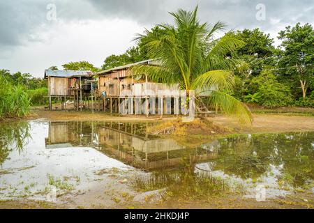 Architektur in der indigenen Gemeinde Gamboa, Amazonien, Peru. Stockfoto