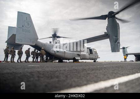 PHILIPPINISCHES MEER (Feb 3, 2022) U.S. Marines beauftragt mit Bravo Company, Battalion Landing Team 1/1, 11th Marine Expeditionary Unit (MEU), an Bord eines MV-22B Osprey, der an Marine Medium Tiltrotor Squadron (VMM) 165 (verstärkt), 11th MEU, auf dem Flugdeck des amphibischen Sturmschiffes USS Essex der Wasp-Klasse (LHD 2) angeschlossen ist Zur Unterstützung von Exercise Noble Fusion, 3. Februar 2022. Als nach vorne entsendete Einheit, die in der Lage ist, amphibische Operationen, Krisenreaktion und begrenzte Notfalleinsätze durchzuführen, führt der MEU 11th regelmäßig Schulungen durch, um in umkämpften Gebieten operieren zu können, um strategische Vorteile zu schaffen Stockfoto