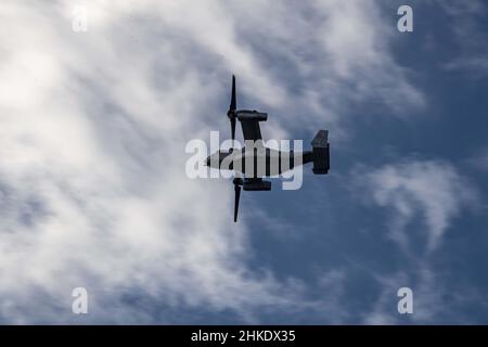 PHILIPPINISCHES MEER (Feb 2, 2022) ein Tiltrotor-Flugzeug der Marine Expeditionary Unit 31st (MEU) MV-22B von Osprey fliegt über das nach vorne eingesetzte amphibische Angriffsschiff USS America (LHA 6). Amerika, das führende Schiff der America Amphibious Ready Group, arbeitet zusammen mit der 31st MEU im Verantwortungsbereich der US-Flotte von 7th, um die Interoperabilität mit Verbündeten und Partnern zu verbessern und als einsatzbereite Einsatztruppe für den Frieden und die Stabilität in der Indo-Pazifik-Region zu dienen. (USA Navy Foto von Mass Communication Specialist 3rd Klasse Theodore C. Lee) Stockfoto