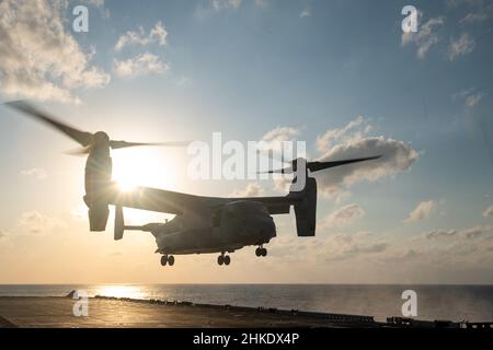 PHILIPPINISCHES MEER (Feb 1, 2022) ein Tiltrotor-Flugzeug der Marine Expeditionary Unit 31st (MEU) MV-22B Osprey hebt vom Flugdeck des nach vorne eingesetzten amphibischen Sturmschiffes USS America (LHA 6) ab. Amerika, Flaggschiff der America Amphibious Ready Group, arbeitet zusammen mit der 31st MEU im Verantwortungsbereich der US-Flotte für 7th, um die Interoperabilität mit Verbündeten und Partnern zu verbessern und als einsatzbereite Einsatztruppe für Frieden und Stabilität in der Indo-Pazifik-Region zu dienen. (USA Navy Foto von Mass Communication Specialist 3rd Class Matthew Cavenaile) Stockfoto