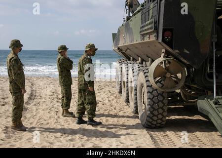 Soldaten der japanischen Bound Self-Defense Force (JGSDF) mit 2nd amphibischen Schnelleinsatzregiment inspizieren ein amphibisches Kampffahrzeug des US-Marine Corps, das 1st Platoon, Charlie Company, 3rd Assault Amphibian Bataillon, 1st Marine Division, während des bilateralen amphibischen Angriffs-Trainings im Rahmen der Übung Iron Fist 2022 am Weißen Strand zugewiesen wurde, Marine Corps Base Camp Pendleton, Kalifornien, 1. Februar 2022. Seit fast zwei Jahrzehnten führen das US-Marine Corps, die US-Marine und JGSDF Übungen zur Eisernen Faust durch, trainieren gemeinsam in amphibischen Operationen und bekräftigen das US-Engagement für unsere Verbündeten. (USA Stockfoto