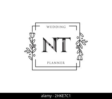 NT feminines Logo. Verwendbar für Natur, Salon, Spa, Kosmetik und Beauty Logos. Flaches Vektor-Logo-Design-Template-Element. Stock Vektor