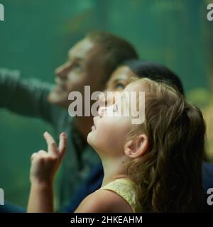 So viel zu sehen. Aufnahme einer dreiköpfigen Familie bei einem Ausflug ins Aquarium. Stockfoto