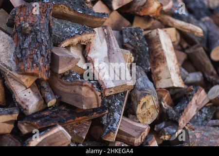 Nahaufnahme gesägter Baum in kleine Stücke. Hintergrund aus gesägten Holzstücken. Baumschnitte, die zu einer Textur gesammelt wurden. Stockfoto