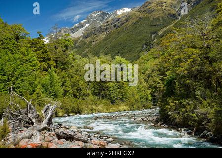 Sabine River, bei Sabine Hut, die Schaukelbrücke zur Hütte im Hintergrund, Nelson Lakes National Park, Südinsel, Aotearoa / Neuseeland Stockfoto