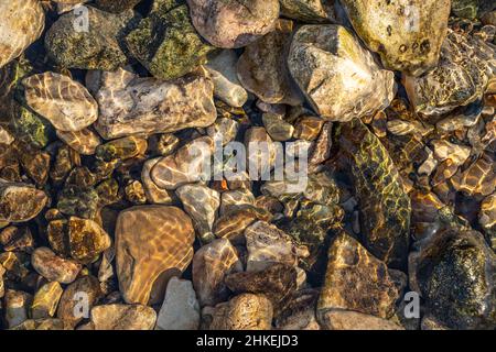 Creek stones in the Crystal Clear Water of South Sylamore Creek in the Ozark Mountains at Mountain View, Arkansas. (USA) Stockfoto