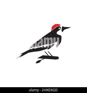 Isolierte Form Vogelspecht mit Zweig-Logo-Design, Vektor-Grafik Symbol Symbol Illustration kreative Idee Stock Vektor