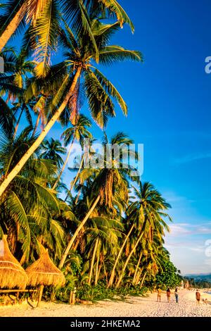 Palmen, Strohschirm und Sand, White Beach, Boracay, Aklan, Visayas, Philippinen Stockfoto