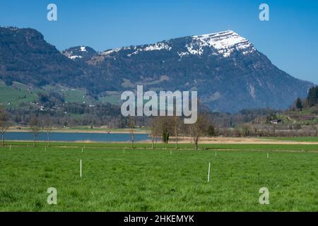 Blick von einem grünen Feld über einen See auf den Rigi, einen berühmten Berg in der Schweiz, Europa Stockfoto