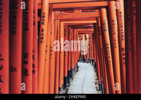 Rote Torii-Tore in Tokio, Japan. Stockfoto