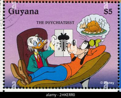 GUYANA - UM 1995: Stempel gedruckt von Guyana, zeigt Walt Disney Figuren, Doctor Donald, um 1995 Stockfoto