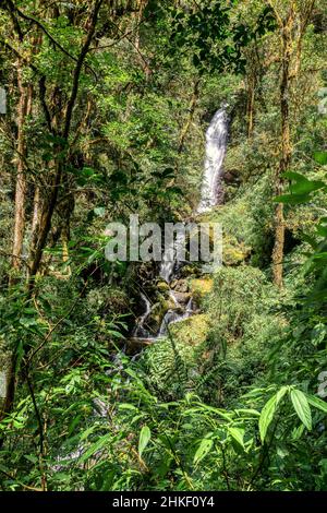 Wasserfall am kleinen wilden Gebirgsfluss, lange Exposition. Atemberaubende Landschaft aus Wildnis und reiner Natur. San Gerardo de Dota, Costa Rica. Stockfoto
