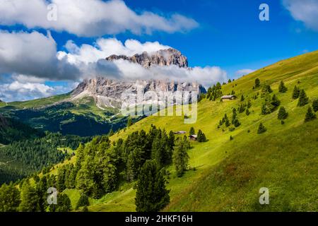 Die Ostwand von Saslonch, Langkofel oder Langkofel, vom Grödner Pass aus gesehen. Stockfoto