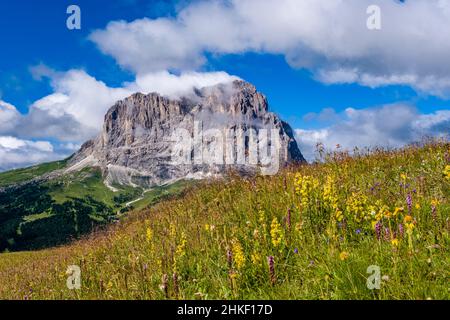 Die Ostwand von Saslonch, Langkofel oder Langkofel, vom Grödner Pass aus gesehen. Stockfoto