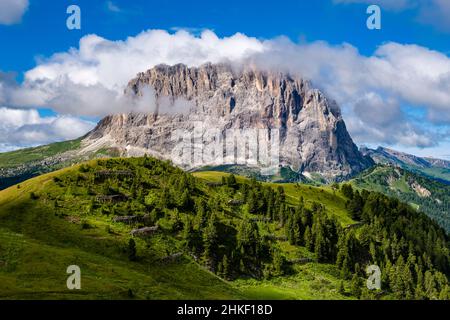 Die Ostwand von Saslonch, Langkofel oder Langkofel, vom Grödner Pass aus gesehen. Stockfoto