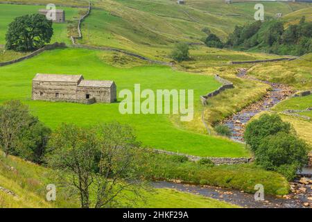 Keld in Upper Swaledale, Yorkshire Dales, Großbritannien mit Steinhütten oder Kuhhäusern, Rowan Tree und dem Fluss Swale, der durch dieses wunderschöne Tal fließt. Hori Stockfoto