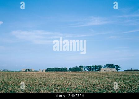 Richborough - Überreste einer römischen und sächsischen Festung an der Küste von Kent, hier kamen die römischen Truppen zum ersten Mal in Großbritannien an Land. Archivscan von einem Dia. November 1966. Stockfoto