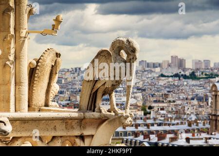 Dies ist eine der Statuen von Chimären im obersten Stockwerk am Fuße der Türme von Notre-Dame de Paris 13. Mai 2013 Paris, Frankreich. Stockfoto