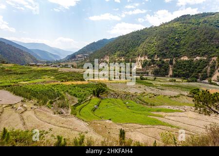 Ländliche Landschaft mit Reisfeldern in einem Tal in der Nähe von Punakha in Zentral-Bhutan, Asien Stockfoto