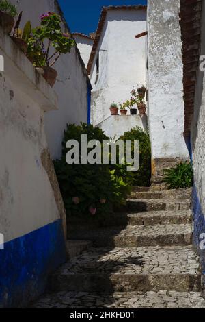 Traditionelle gepflasterte Gasse in der historischen Stadt Óbidos, Centro, Portugal Stockfoto