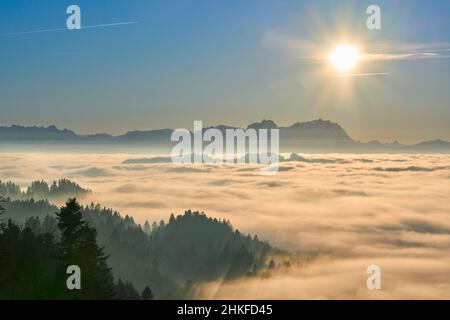 Sonnenuntergang im verschneiten Bregenzer Wald in Vorarlberg, Österreich mit spektakulärem Blick auf den Saentis über einem Nebelmeer, Schweiz, Sulzberg, Austr Stockfoto