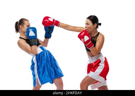 Zwei Frauen professionelle Boxer Boxen isoliert auf weißem Studio Hintergrund. Ein paar fit muskulösen kaukasischen Athleten kämpfen. Sport, Wettbewerb Stockfoto