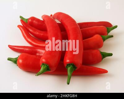 Isolierte rote, scharfe Chilischoten. Stockfoto