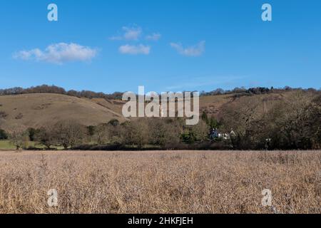 Blick auf Reigate Hill in den North Downs, Surrey, England, Großbritannien, im Winter Stockfoto