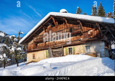 Frankreich, Haute-Savoie (74), Chablais-Massiv, Samoëns, Grand Massif, Traditionelles Chalet im Weiler Chantemerle Stockfoto