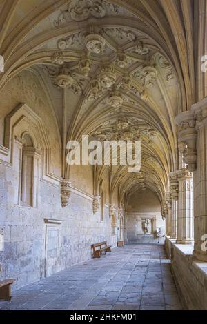 Spanien, Kastilien und León, Carrion de los Condes, Bühne auf dem Camino Francés, spanische Pilgerroute nach Santiago de Compostela, UNESCO-Weltkulturerbe, Kloster San Zoilo Cluniac im 10th. Jahrhundert gegründet, Kloster im plateresken Stil Stockfoto