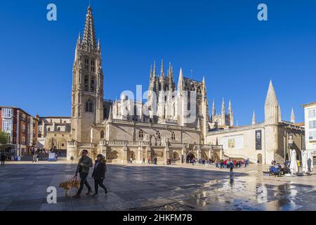 Spanien, Kastilien und León, Burgos, Bühne auf dem Camino Francés, spanische Pilgerroute nach Santiago de Compostela, UNESCO-Weltkulturerbe, gotische Kathedrale Santa Maria di Burgos (UNESCO-Weltkulturerbe) und Plaza Rey San Fernando Stockfoto