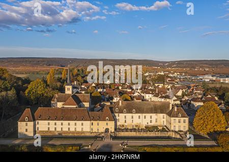 Frankreich, Cote d'Or, Kulturlandschaft der Klimazonen Burgunds, die von der UNESCO zum Weltkulturerbe erklärt wurden, Route des Grands Crus (Straße der Vintage-Weine), Gilly les Citeaux, Chateau de Gilly, luxuriöses Hotel und Restaurant, die Weinberge im Hintergrund (Luftaufnahme) Stockfoto