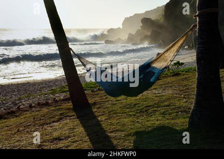 Frankreich, Réunion Island (französisches Überseedepartement), Petite-Ile an der Südküste, Grande Anse Beach, Hängematte zwischen zwei Palmen Stockfoto